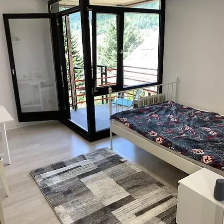 Gemuetliches Einzimmer-apartment 33 Bad Wildbad