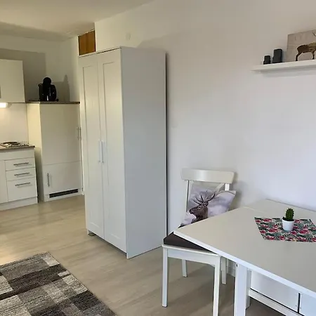 Apartment Gemuetliches Einzimmer-apartment 33