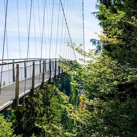 Gemuetliches Einzimmer-apartment 33 Bad Wildbad