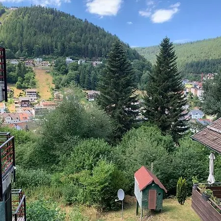 Gemuetliches Einzimmer-apartment 33 Bad Wildbad