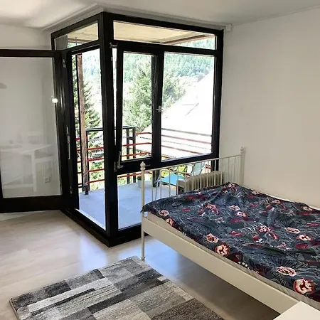 Gemuetliches Einzimmer-apartment 33 Apartment Bad Wildbad