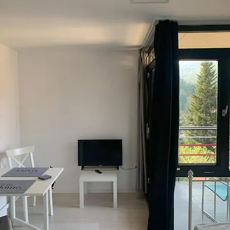 Gemuetliches Einzimmer-apartment 33 Apartment Bad Wildbad