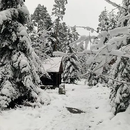 Gemuetliches Einzimmer-apartment 33 *