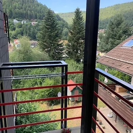 Apartment Gemuetliches Einzimmer-apartment 33 *